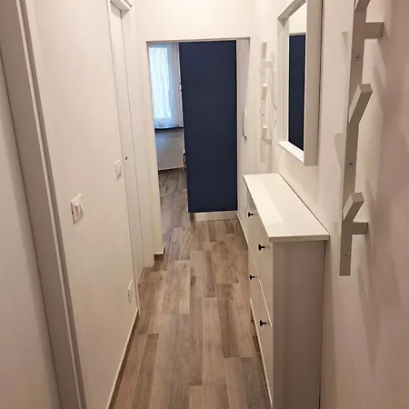 Dolphin & Whale House *